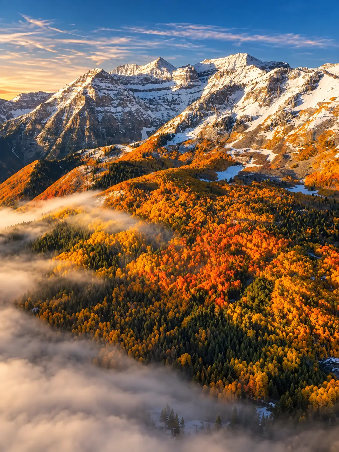 Snow-covered mountain peaks above an autumn forest